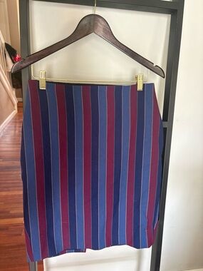 Express Vertical Stripe Pencil Skirt in Navy and Burgundy